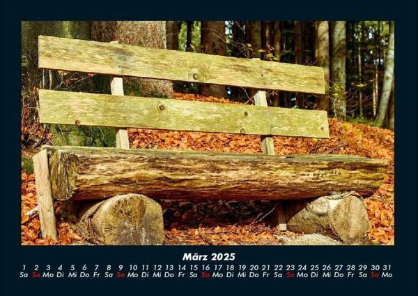 Produktbild: Waldzauber 2025 Fotokalender DIN A4