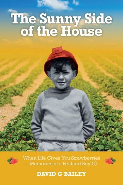 Produktbild: The Sunny Side of the House