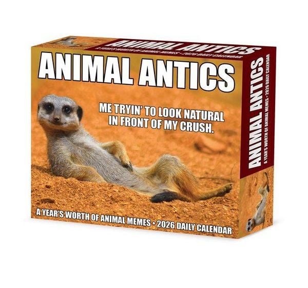 Produktbild: Animal Antics 2026 Box Calendar