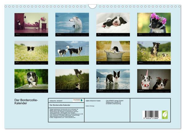 Produktbild: Der Bordercollie-Kalender (Wandkalender 2026 DIN A3 quer), CALVENDO Monatskalender