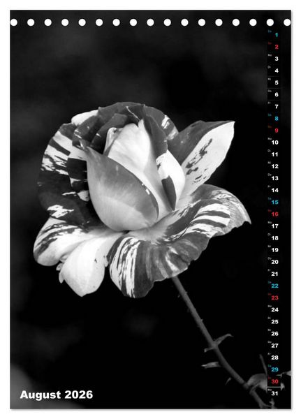 Produktbild: Blumige Graustufen - Schwarz und Wei&szlig; (Tischkalender 2026 DIN A5 hoch), CALVENDO Monatskalender