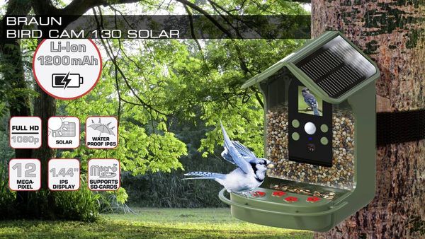 Produktbild: Braun Phototechnik Bird Cam 130 Solar Wildkamera mit Futterspender Gr&uuml;n