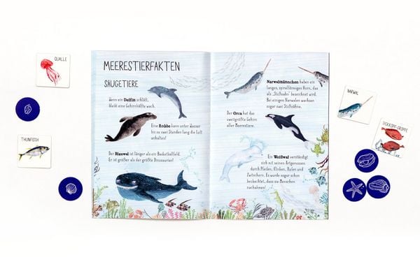 Produktbild: Flossen hoch!