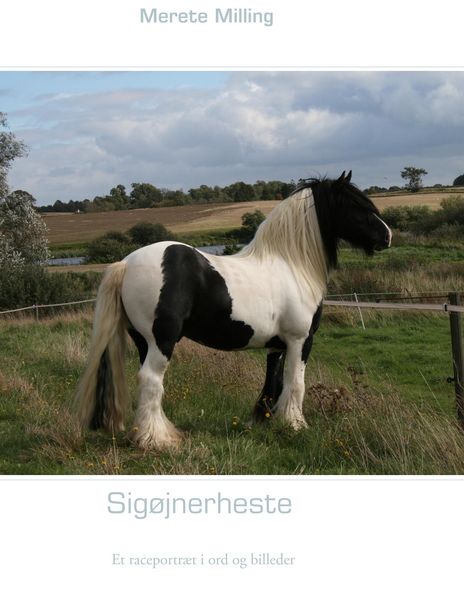 Produktbild: Sig&oslash;jnerheste