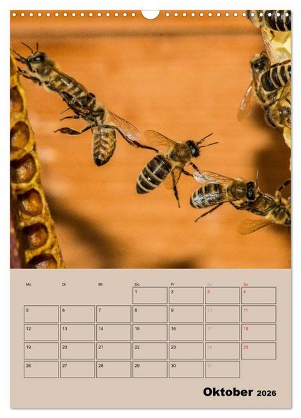 Produktbild: Bienenplaner (Wandkalender 2026 DIN A3 hoch), CALVENDO Monatskalender