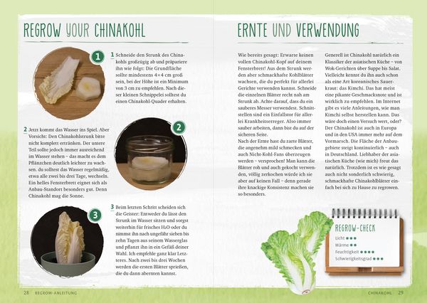 Produktbild: Regrow your veggies