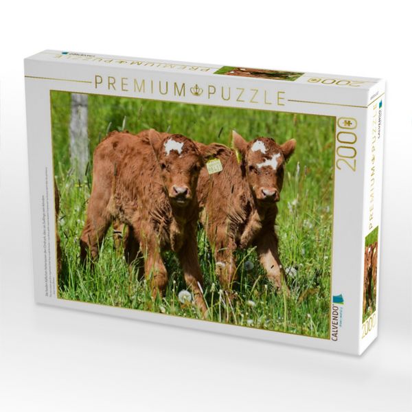 Produktbild: CALVENDO Puzzle Die beiden K&auml;lbchen hinterlassen den Eindruck, dass sie Zwillinge sein k&ouml;nnten. | 2000 Teile Lege-Gr&ouml;&szlig;e 90x67cm Foto-Puzzle f&uuml;r gl&uuml;ckl