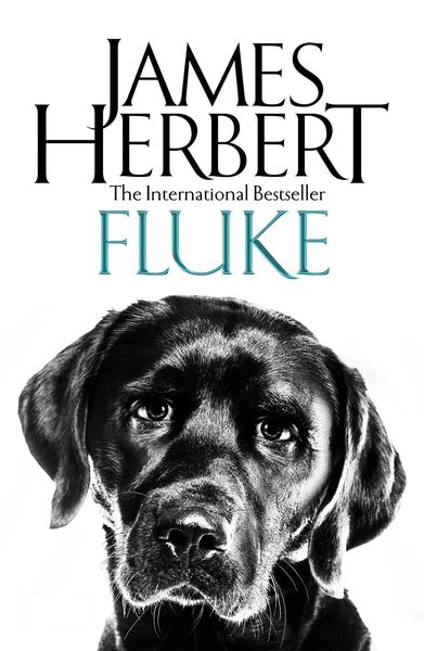 Produktbild: Fluke
