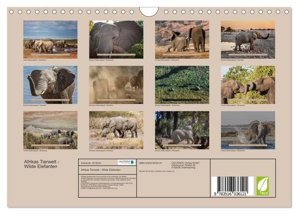 Produktbild: Afrikas Tierwelt - Wilde Elefanten (Wandkalender 2026 DIN A4 quer), CALVENDO Monatskalender