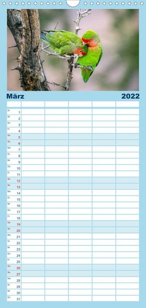 Produktbild: Papageien - Frech, sch&ouml;n und schlau - Familienplaner hoch (Wandkalender 2022 , 21 cm x 45 cm, hoch)