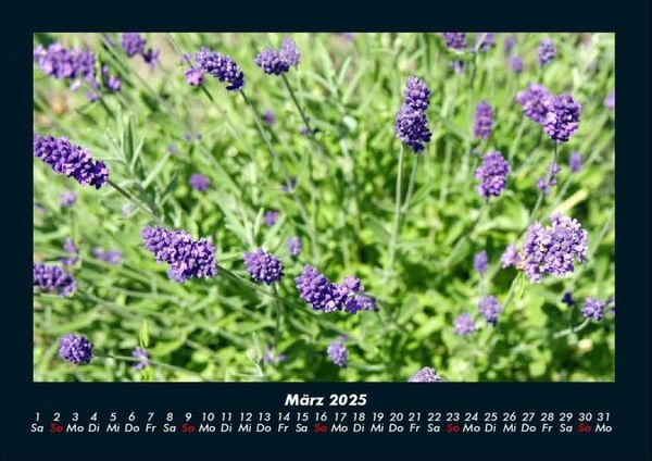 Produktbild: Blumentr&auml;ume 2025 Fotokalender DIN A4