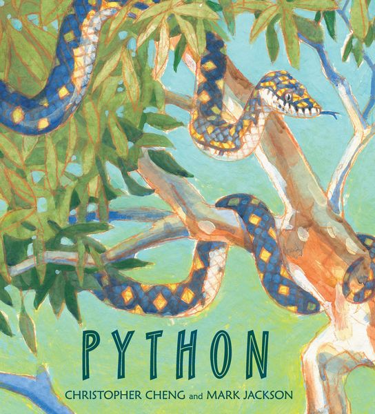 Produktbild: Python