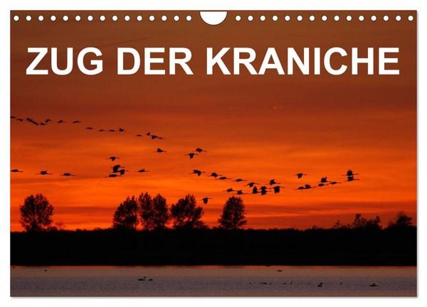 Produktbild: Zug der Kraniche (Wandkalender 2026 DIN A4 quer), CALVENDO Monatskalender