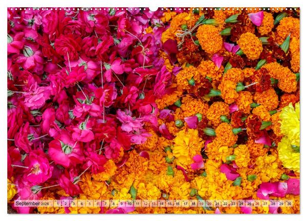 Produktbild: Indien - Spektakel der Farben (hochwertiger Premium Wandkalender 2026 DIN A2 quer), Kunstdruck in Hochglanz