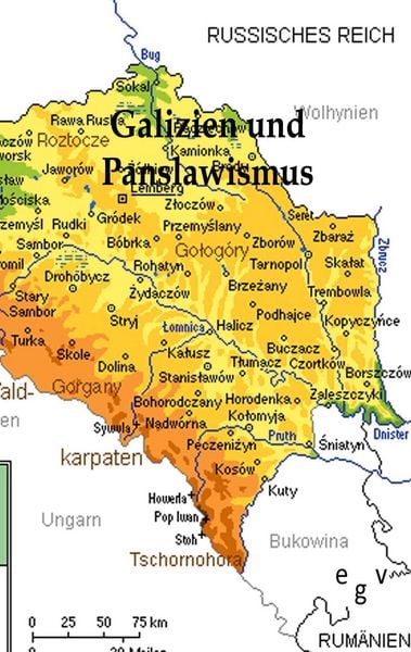 Produktbild: Galizien und der Panslawismus