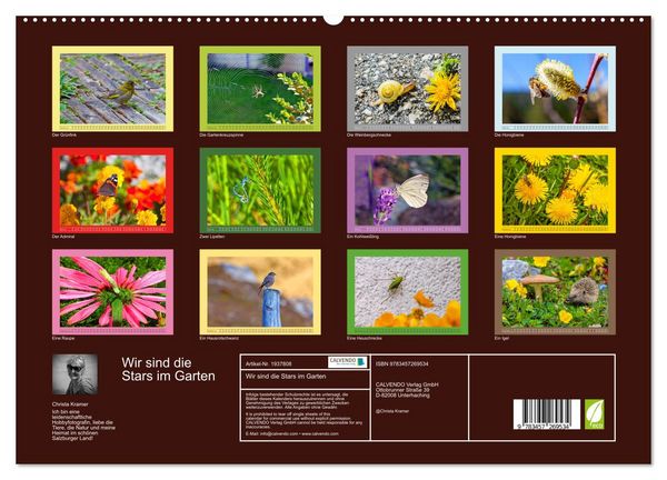 Produktbild: Wir sind die Stars im Garten (hochwertiger Premium Wandkalender 2026 DIN A2 quer), Kunstdruck in Hochglanz