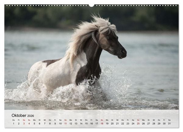 Produktbild: Pferde 2026 Kraft und Anmut (hochwertiger Premium Wandkalender 2026 DIN A2 quer), Kunstdruck in Hochglanz