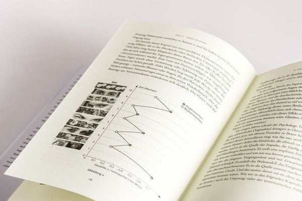 Produktbild: Schnelles Denken, langsames Denken