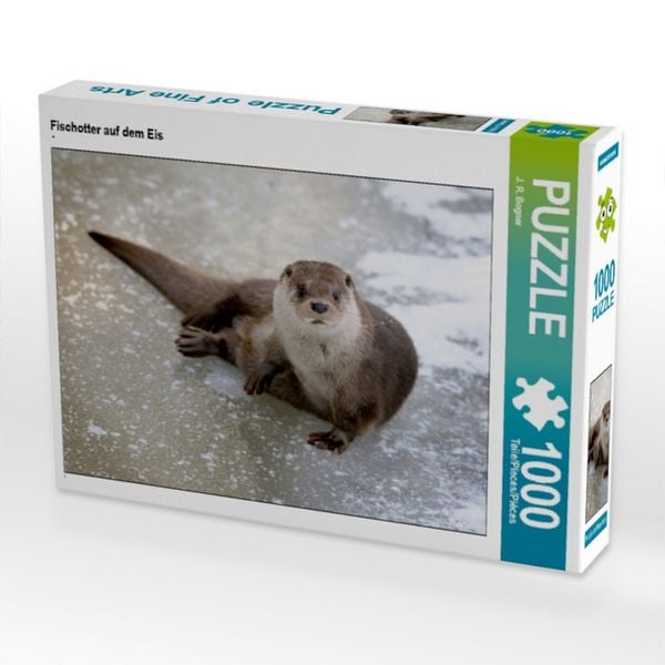 CALVENDO Puzzle Fischotter auf dem Eis | 1000 Teile Lege-Größe 64 × 48 cm Foto-Puzzle für glückliche Stunden