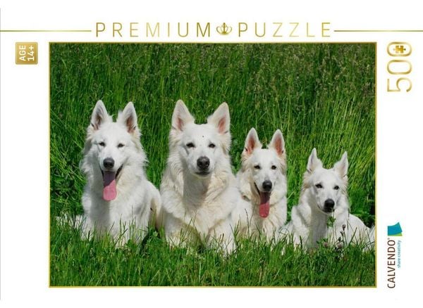 CALVENDO Puzzle Ein Motiv aus dem Kalender Weißer Schweizer Schäferhund | 500 Teile Lege-Größe 48 × 36 cm Foto-Puzzle für Erwachsene