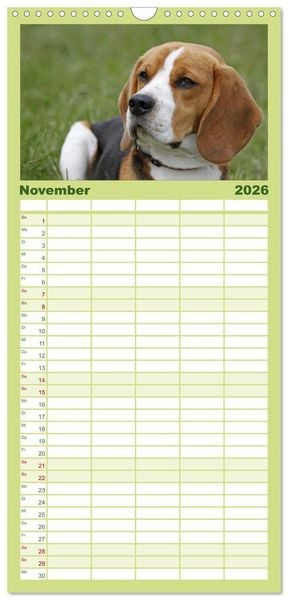Produktbild: Familienplaner 2026 - DER BEAGLEige TERMINPLANER mit 5 Spalten (Wandkalender, 21 x 45 cm) CALVENDO