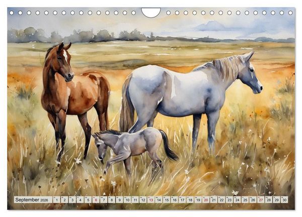 Produktbild: Elegant und anmutig (Wandkalender 2026 DIN A4 quer), CALVENDO Monatskalender