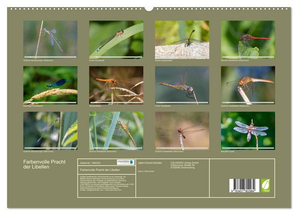 Produktbild: Farbenvolle Pracht der Libellen (Wandkalender 2026 DIN A2 quer), CALVENDO Monatskalender