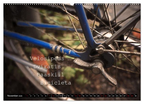Produktbild: Weltfahrrad (hochwertiger Premium Wandkalender 2026 DIN A2 quer), Kunstdruck in Hochglanz