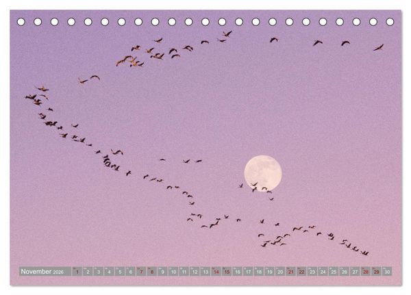 Produktbild: Vollmond - Momente der Ruhe (Tischkalender 2026 DIN A5 quer), CALVENDO Monatskalender
