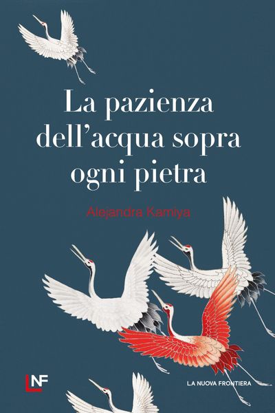 Produktbild: La pazienza dell'acqua sopra ogni pietra