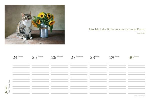 Produktbild: Literarischer Tischkalender Katzen 2013