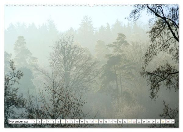 Produktbild: 12 Monate Natur (hochwertiger Premium Wandkalender 2026 DIN A2 quer), Kunstdruck in Hochglanz