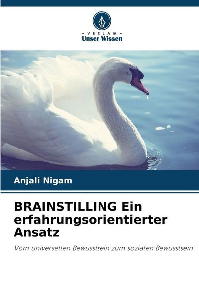 Produktbild: BRAINSTILLING Ein erfahrungsorientierter Ansatz