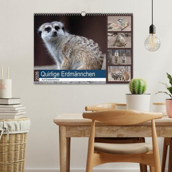 Produktbild: Quirlige Erdm&auml;nnchen (Wandkalender 2026 DIN A3 quer), CALVENDO Monatskalender