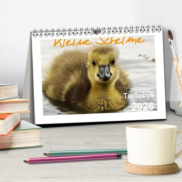 Produktbild: Kleine Schelme - Tierbabys (Tischkalender 2026 DIN A5 quer), CALVENDO Monatskalender