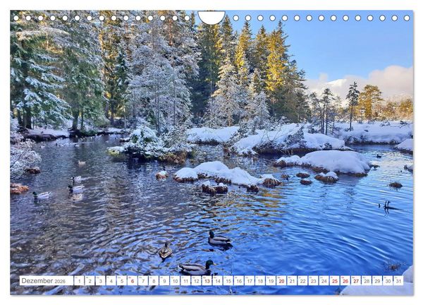 Produktbild: Malerisches Seefeld in Tirol (Wandkalender 2026 DIN A4 quer), CALVENDO Monatskalender
