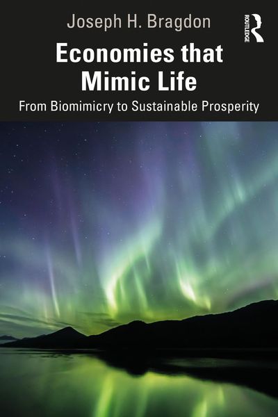 Produktbild: Economies that Mimic Life