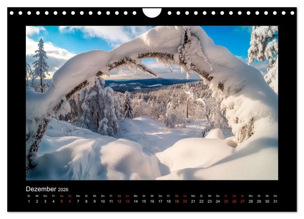 Produktbild: Geheimnisvolle Wildnis Deutschlands (Wandkalender 2026 DIN A4 quer), CALVENDO Monatskalender