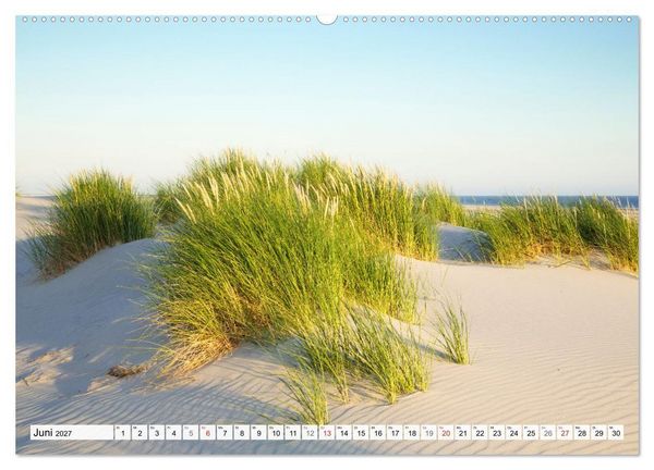 Produktbild: Amrum. Natur und Landschaften (Wandkalender 2027 DIN A2 quer), CALVENDO Monatskalender