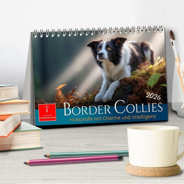 Produktbild: Border Collies H&uuml;teprofis (Tischkalender 2026 DIN A5 quer), CALVENDO Monatskalender