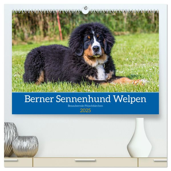 Berner Sennenhund Welpen - Bezaubernde Plüschbärchen (hochwertiger Premium Wandkalender 2025 DIN A2 quer), Kunstdruck in