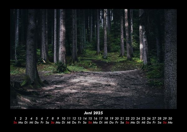 Produktbild: Waldzauber 2025 Fotokalender DIN A3