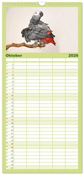 Produktbild: Familienplaner 2026 - Graupapageien zum Verlieben mit 5 Spalten (Wandkalender, 21 x 45 cm) CALVENDO