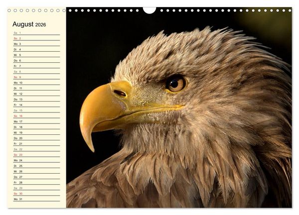Produktbild: Greifv&ouml;gel (Wandkalender 2026 DIN A3 quer), CALVENDO Monatskalender
