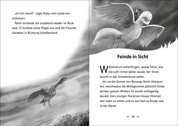 Produktbild: Der letzte Feuerfalke und das Schattenland (Band 5)