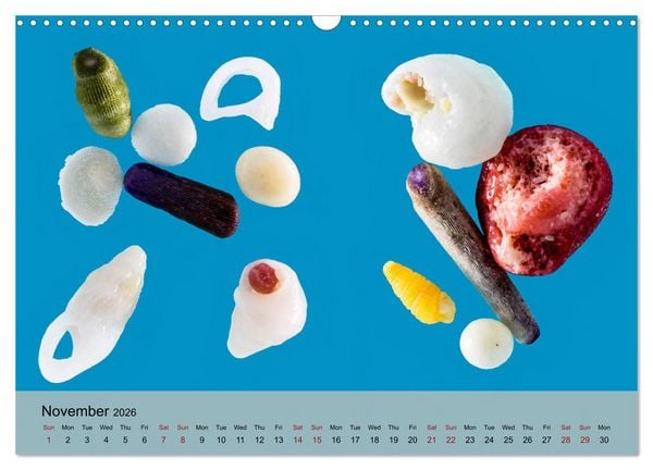 Produktbild: bermuda pink (Wall Calendar 2026 DIN A3 landscape), CALVENDO 12 Month Wall Calendar