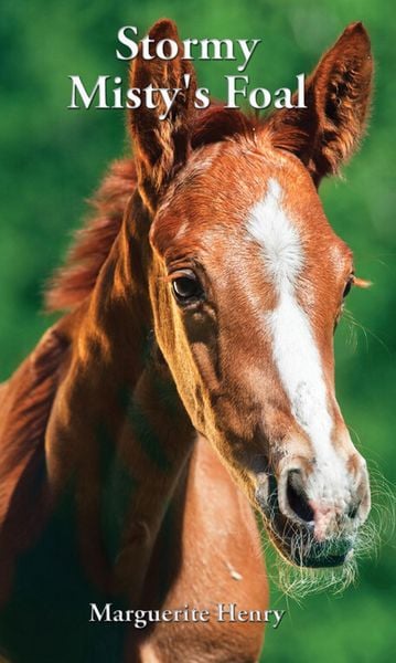 Produktbild: Stormy, Misty's Foal