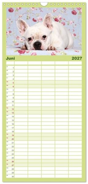 Produktbild: Familienplaner 2027 - Der Bully - Kalender Familienplaner hoch mit 5 Spalten (Wandkalender, 21 x 45 cm) CALVENDO