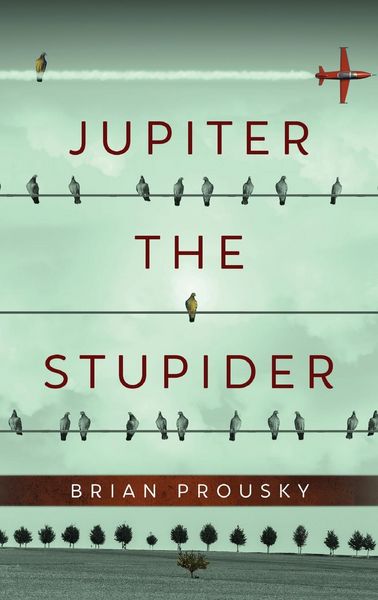 Produktbild: Jupiter the Stupider