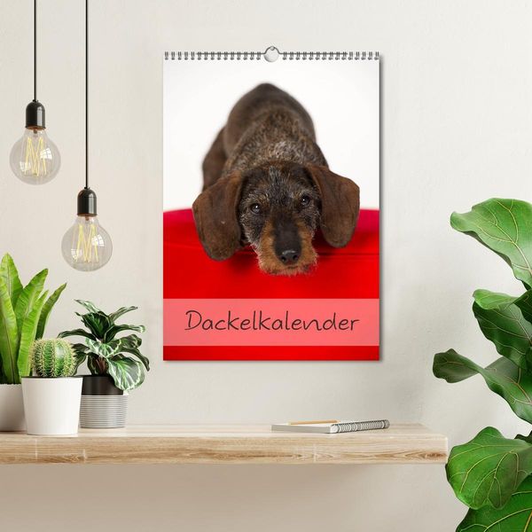 Produktbild: Dackel (Wandkalender 2026 DIN A3 hoch), CALVENDO Monatskalender